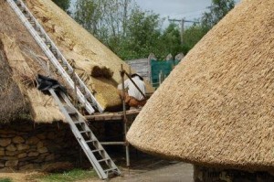 thatching roundhouses at the Irish National Heritage Park, Wexford