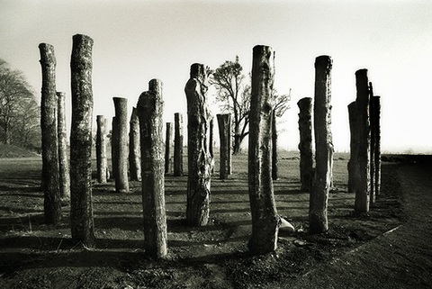 Knowth pillars