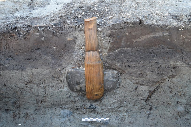Flint Axe and wooden handle (Museum Lolland-Falster)