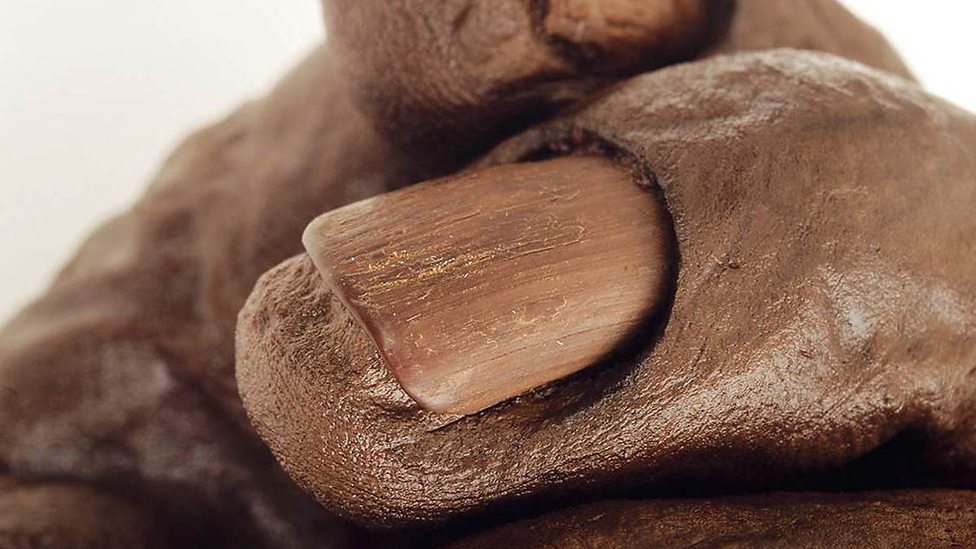 Close up of Old Croghan man's nails 